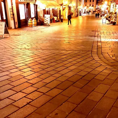 Michael's Gate Large In A 15th-century Building, Old Town Apartment Pressburg
